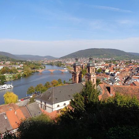 Villa Geisenhof Miltenberg Kültér fotó