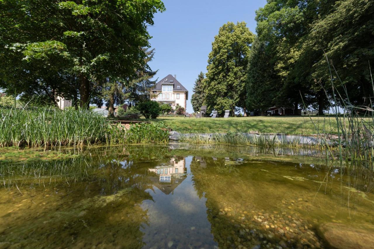 Villa Geisenhof Miltenberg Kültér fotó