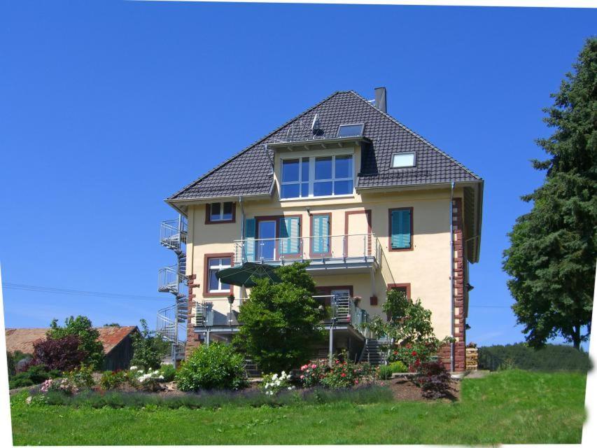 Villa Geisenhof Miltenberg Kültér fotó
